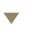 tdv_logo_white